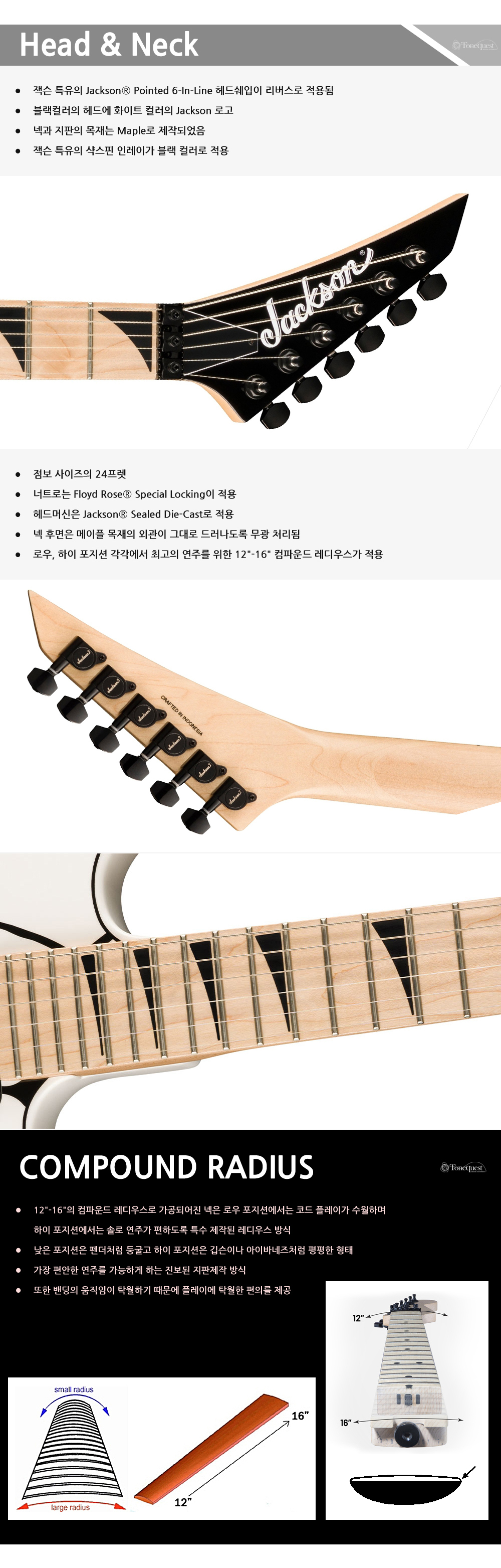 Jackson-X-Dinky-DK1A-WhiteTortoise_2.jpg