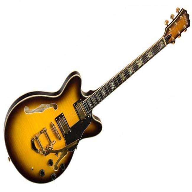 dexter 일렉기타 DH-335