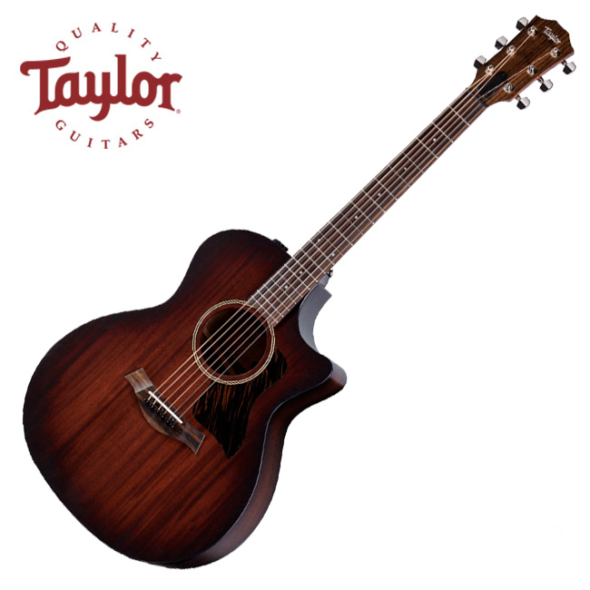 테일러 Taylor 어쿠스틱기타 AD24ce