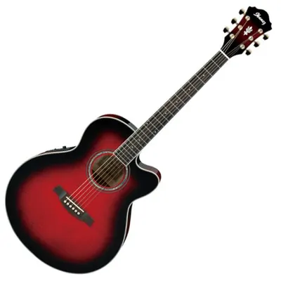Ibanez 어쿠스틱기타 AEL20E