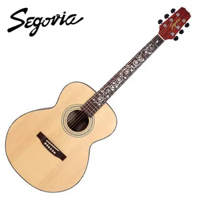 Segovia 어쿠스틱기타 F-12 SN