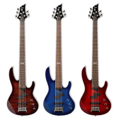 LTD B-55FM 5현 액티브 베이스