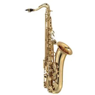 Albest Wexler / AWST-66GL / 골드 / 알베스트 웩슬러 테너 색소폰
