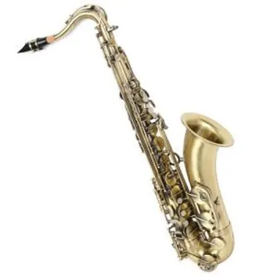 RIVERA /TENOR / RTS-100DK (100-AB) / 리베라 테너 색소폰, Antique Brass