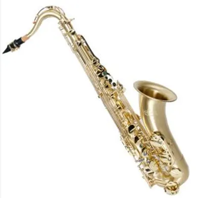 LE ROYAL / Tenor / Brass Matte Finish 850 / 르로얄 테너 색소폰 - 무광