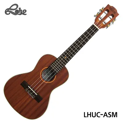 Leho 우쿨렐레 LHUC-ASM Concert (LHC-ASM)