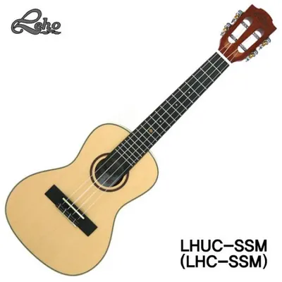 Leho 우쿨렐레 LHUC-SSM Concert (LHC-SSM)