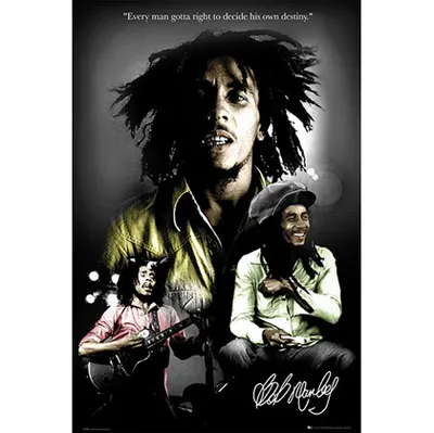 포스터 Bob Marley - Destiny 밥 말리 [LP1328]