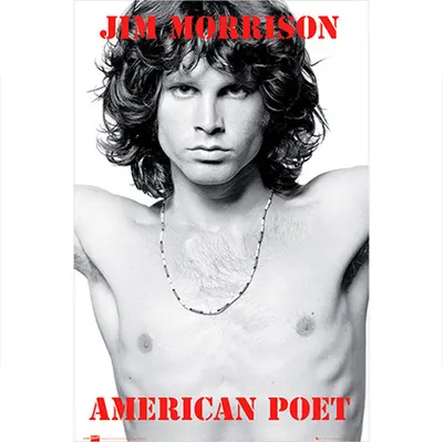 포스터 Doors - Jim Morrison 도어즈 [LP1260]