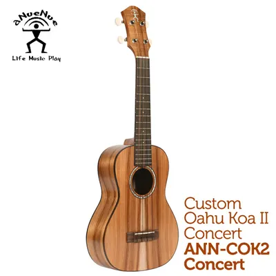 aNueNue 우쿨렐레 COK2 Concert