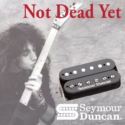 Seymour Duncan 험버커픽업 Jason Becker Perpetual Burn