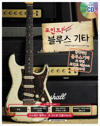 포인트! 블루스 기타