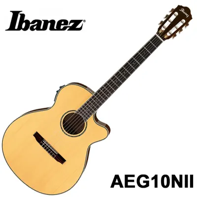 아이바네즈 Ibanez 클래식기타 AEG10N ll
