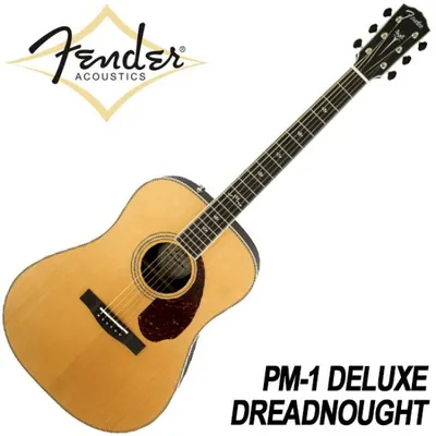 펜더 Fender 통기타 PM-1 Deluxe Dreadnought (096-0270-221)