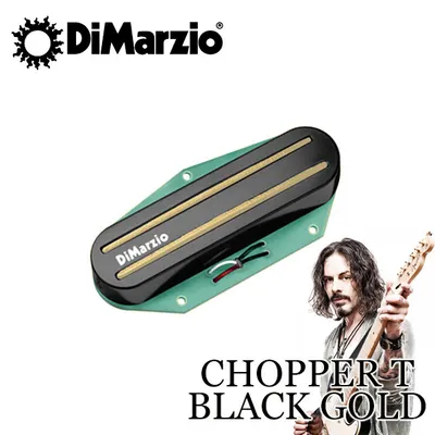 DiMarzio 텔레용 험버커 픽업 Chopper T Black Gold [DP384SP]