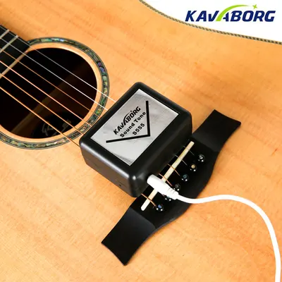 Kavaborg  Sound Tone S555 어쿠스틱 에이징 시스템