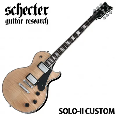 Schecter 일렉기타 SOLO-II CUSTOM GNAT/BLK