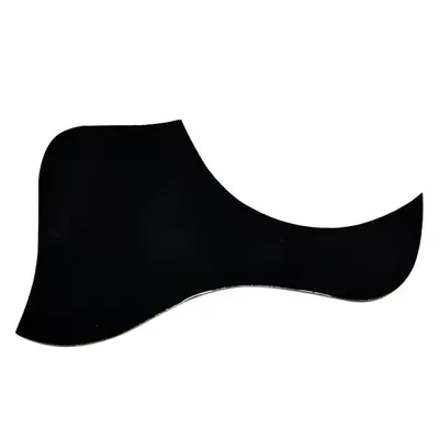 Plugmusic Taylor Type Black (Made In Korea)