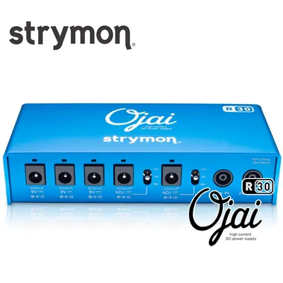 Strymon Ojai R30 파워서플라이
