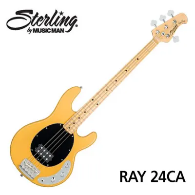 Sterling by MusicMan 베이스기타 RAY24CA Butter Scotch