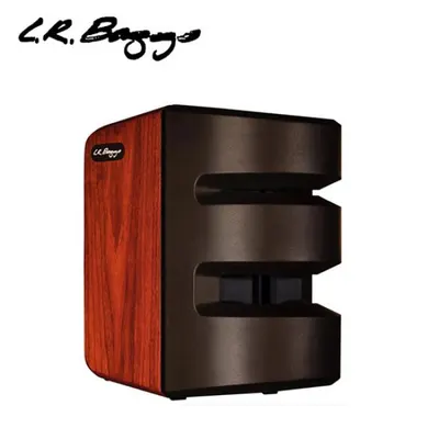 L.R.Baggs 퍼스널 PA 멀티 앰프 시스템 SYNAPSE