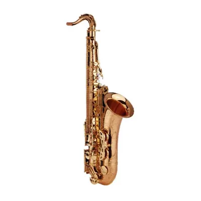 영창 테너 색소폰 YTS490N-G