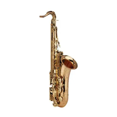 영창 테너 색소폰 YTS490N-M