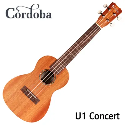 코르도바 Cordoba 우쿨렐레 U1 Concert