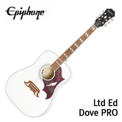 에피폰 Epiphone 통기타 리미티드 에디션 Dove Pro Alpine White (EEDVAWNH3)
