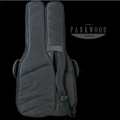 Parkwood 파크우드 프리미엄 일렉기타 케이스 CEG100