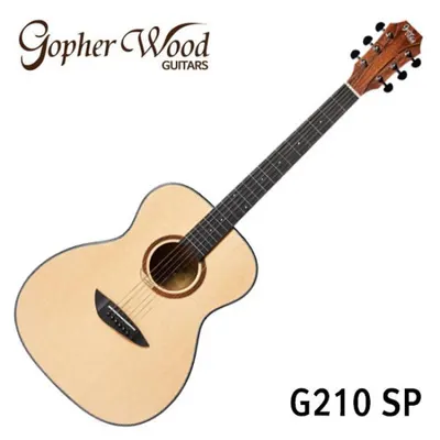 가성비갑! 탑솔리드 고퍼우드 Gopher Wood 통기타 G210 SP 탑솔리드