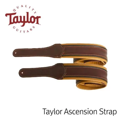 Taylor 스트랩 Ascension Strap (900 Series)