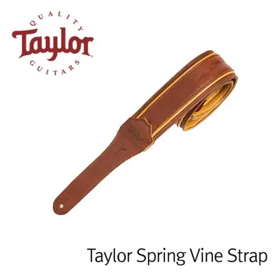 Taylor 스트랩 Spring Vine Strap 2.5in (KOA Series)
