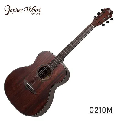고퍼우드 Gopher Wood 통기타 G210M