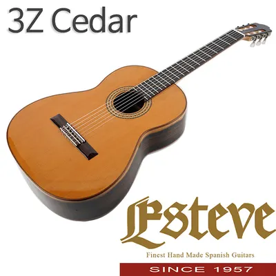 Esteve 에스티브 클래식 기타 3Z Cedar & 지르코테