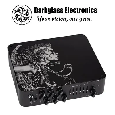 Darkglass 다크글라스 베이스 앰프 헤드 Microtubes 900 v2 Limited Edition