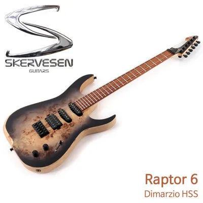 M A S T E R P I E C E Skervesen Raptor 6 HSS / 스커베슨 랩터 6 / 디마지오 픽업