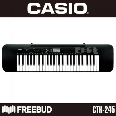 CASIO 카시오 전자 키보드 CTK-245