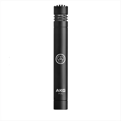 AKG P170 마이크
