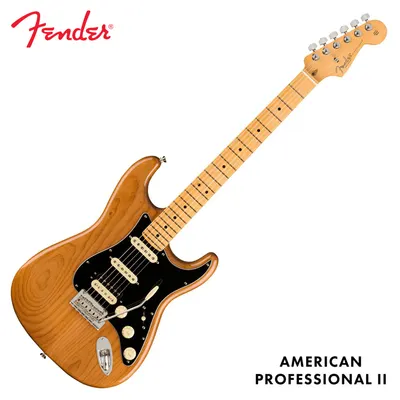 Fender USA American Professional II Stratocaster HSS Roasted Pine - Maple (011-3912-763)
