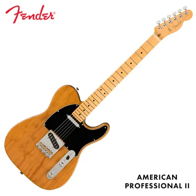 Fender USA American Professional II Telecaster Rosted Pine - Maple (011-3942-763)