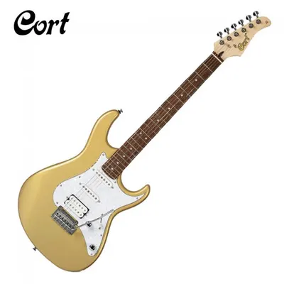 Cort 일렉기타 G250 Champagne Gold Metallic 콜트 기타