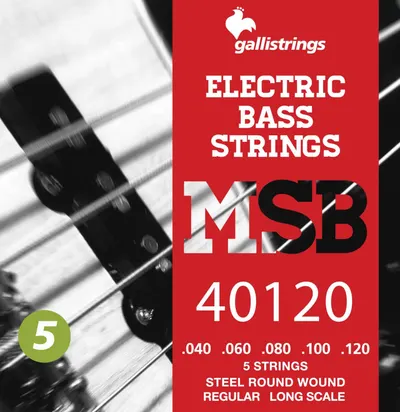 Galli String - MSB 40120 (040-120) / 스테인리스 5현 베이스 스트링