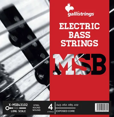 Galli String - X-MSB 43102 (043-102) / 베이스 스트링