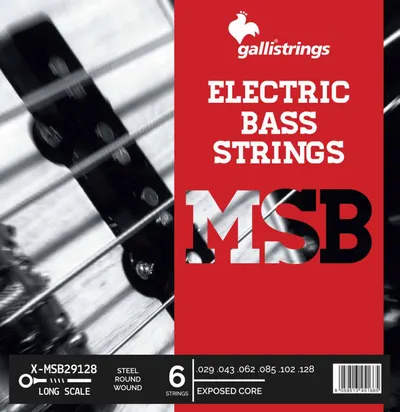 Galli String - X-MSB 29128 (029-128) / 6현 베이스 스트링