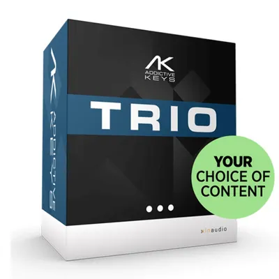 XLN Audio Trio Bundle 피아노 건반 가상악기 엑스엘엔오디오 트리오 번들