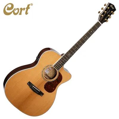Cort 통기타 Gold-OC8