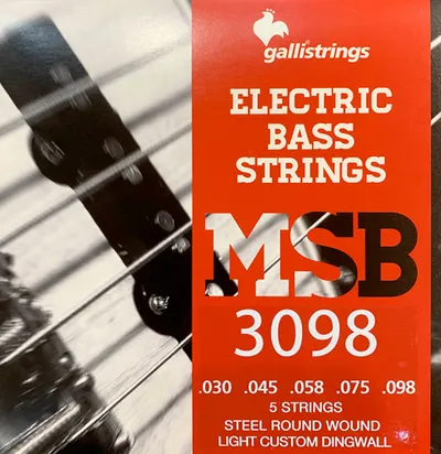 Galli String - MSB 3098 for DINGWALL / 딩월 멀티스케일 전용 High C 스트링