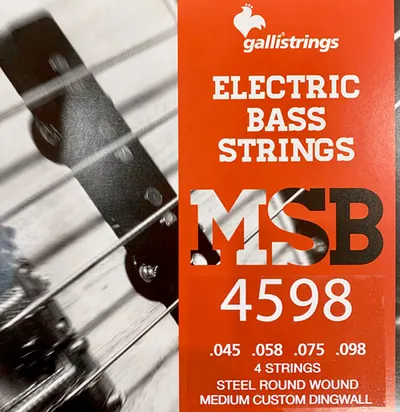 Galli String - MSB 4598 for DINGWALL / 딩월 멀티스케일 전용 4현 스트링