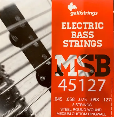 Galli String - MSB 45127 for DINGWALL / 딩월 멀티스케일 전용 5현 스트링